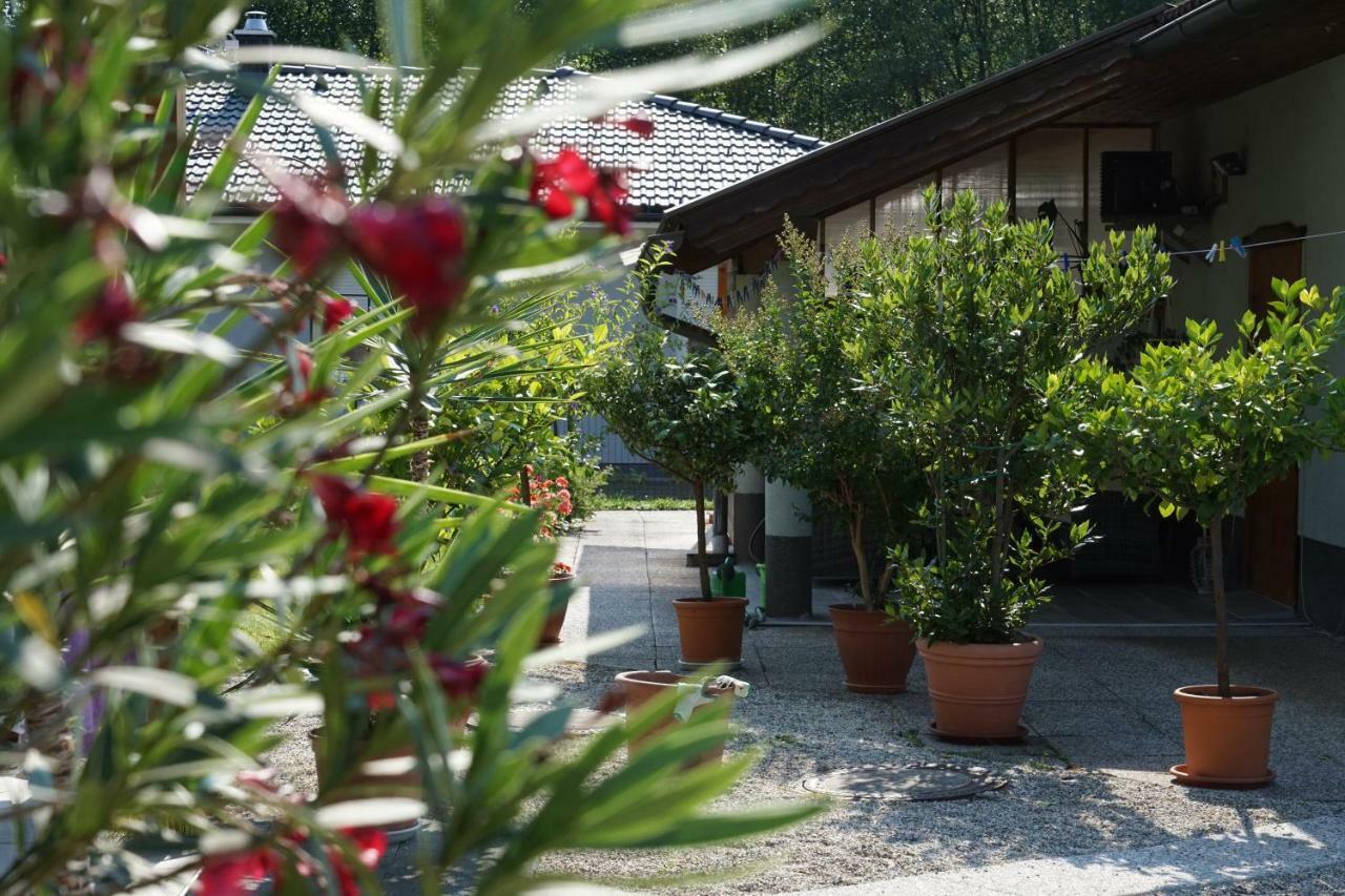 Northwest Studio Apartments Klagenfurt am Wörthersee Exterior foto